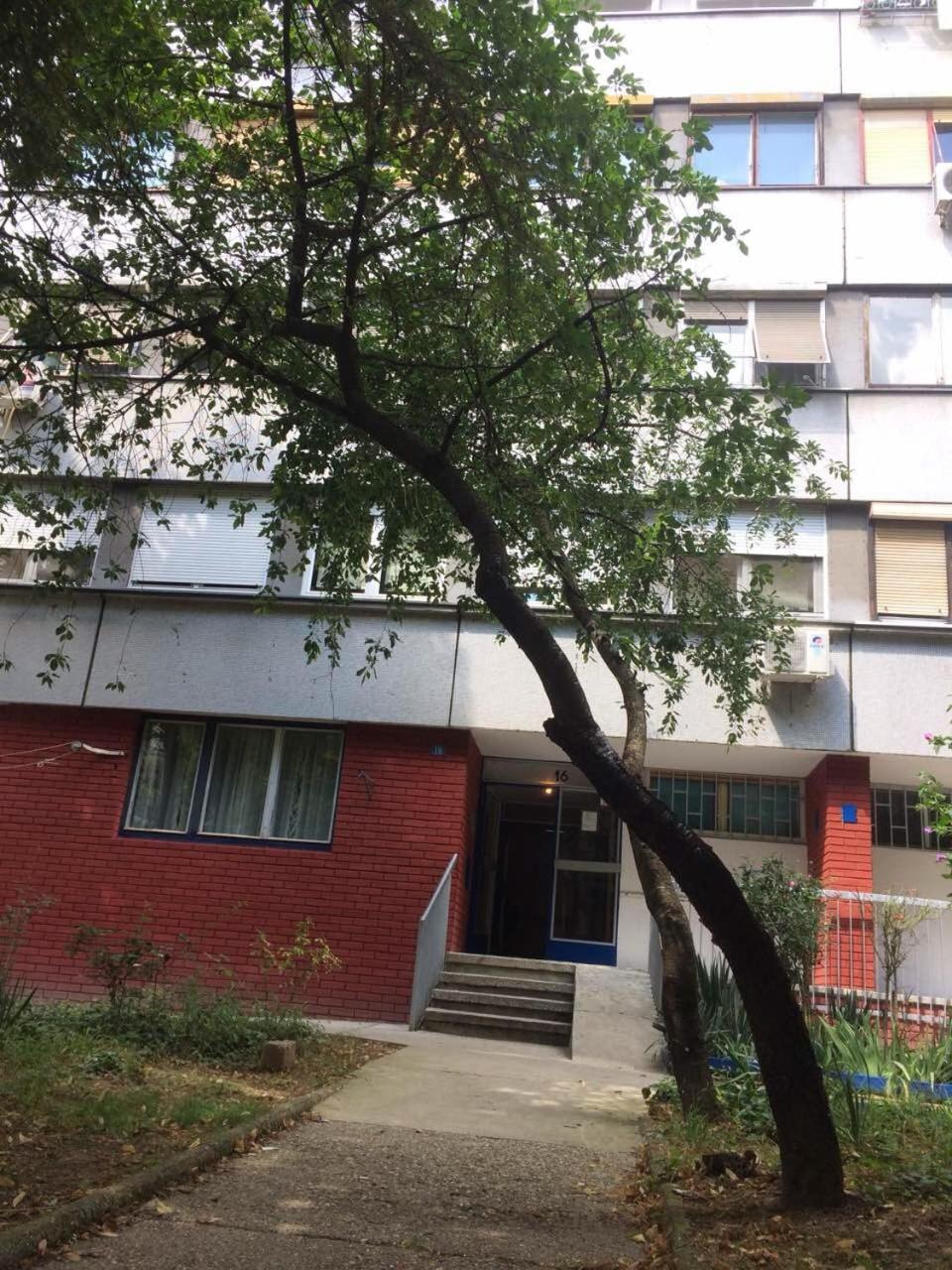 Vortexluxapatman Bělehrad Exteriér fotografie